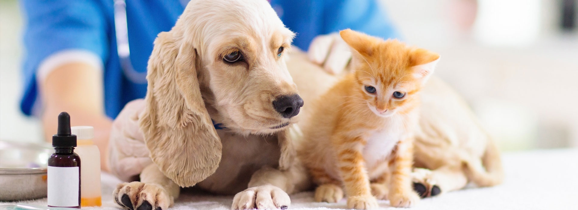 Decreasing interest in pet vaccines